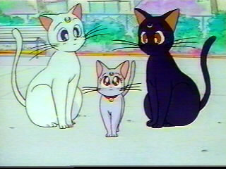     moon cat artemis diana cats    