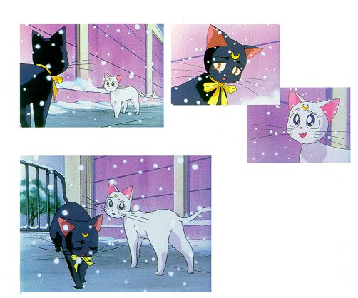     moon cat artemis diana cats    