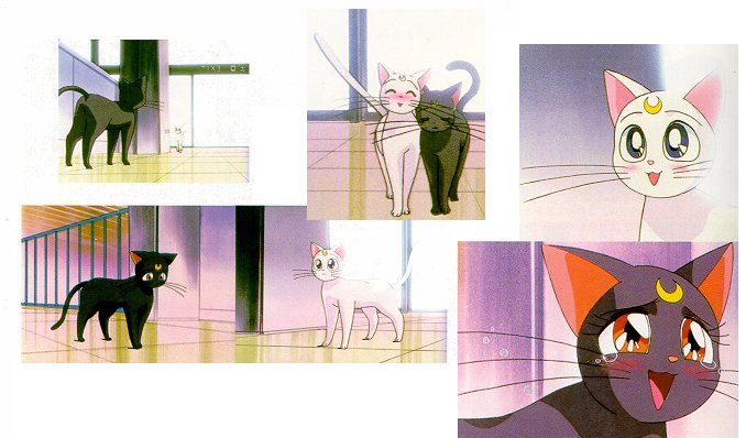     moon cat artemis diana cats    