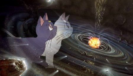    moon cat artemis diana cats    