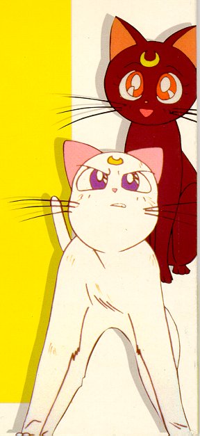     moon cat artemis diana cats    