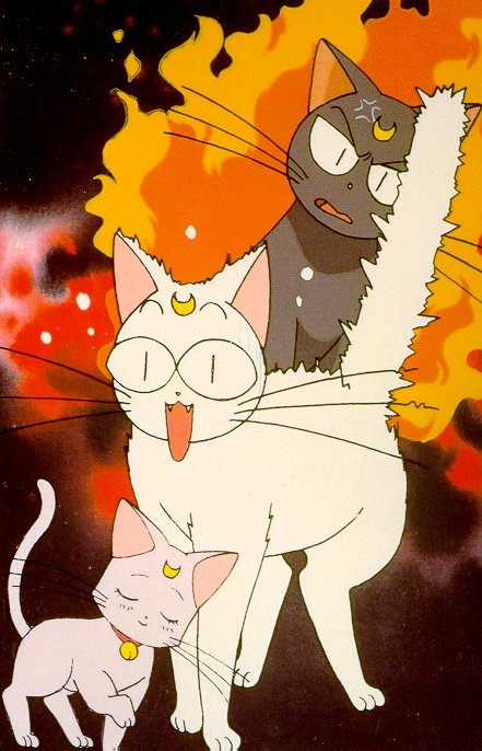    moon cat artemis diana cats    