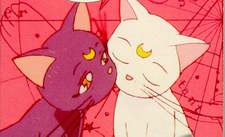     moon cat artemis diana cats    