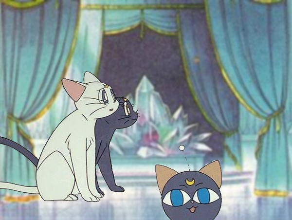     moon cat artemis diana cats    