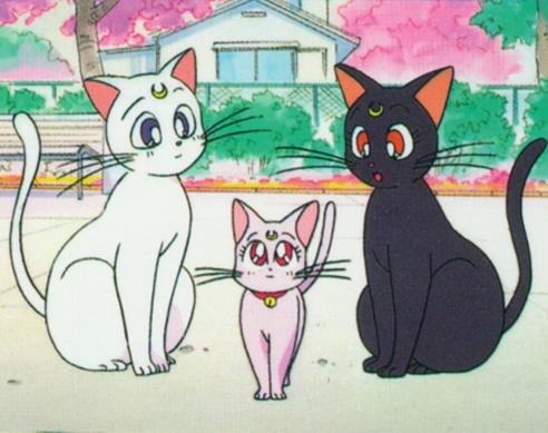     moon cat artemis diana cats    
