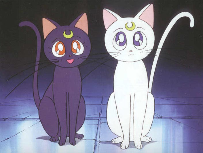     moon cat artemis diana cats    