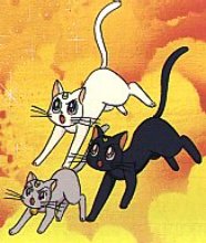     moon cat artemis diana cats    