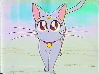     moon cat artemis diana cats    