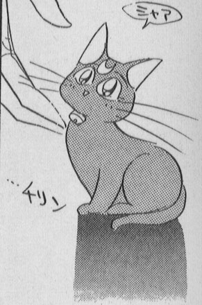     moon cat artemis diana cats    