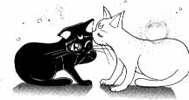     moon cat artemis diana cats    
