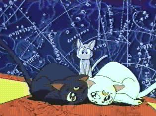     moon cat artemis diana cats    