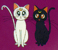     moon cat artemis diana cats    