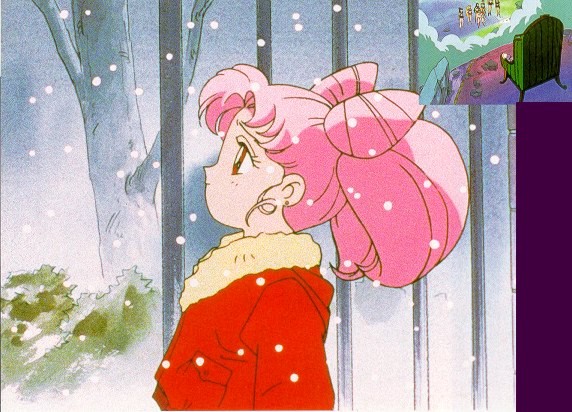   chibiusa        