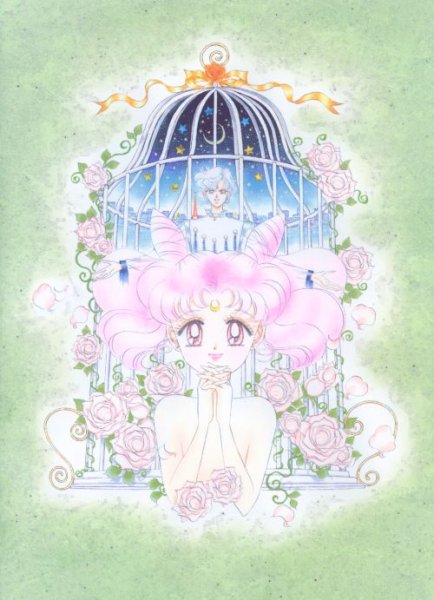   chibiusa        