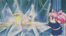   chibiusa        