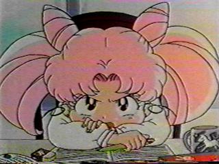   chibiusa        