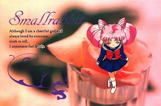   chibiusa        