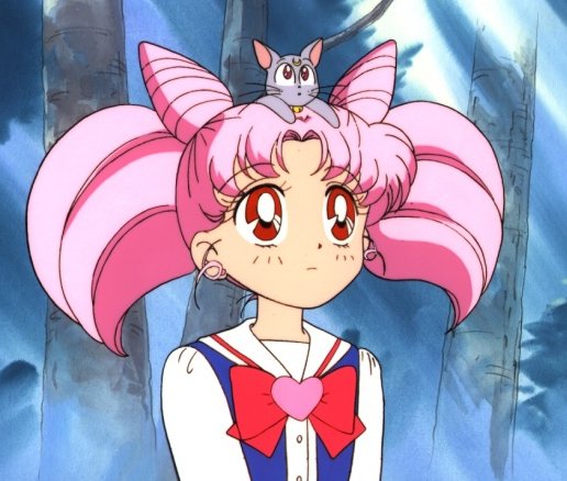   chibiusa        