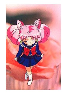   chibiusa        