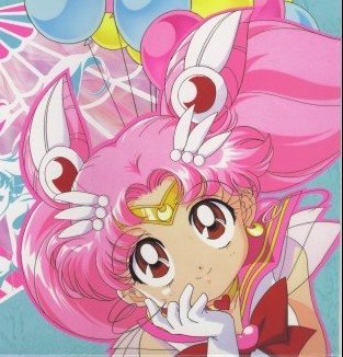   chibiusa        