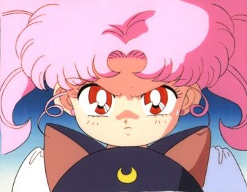   chibiusa        