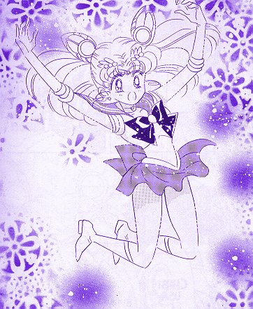   chibiusa        