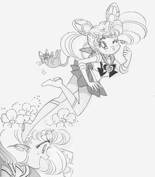   chibiusa        