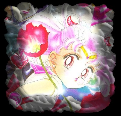   chibiusa        
