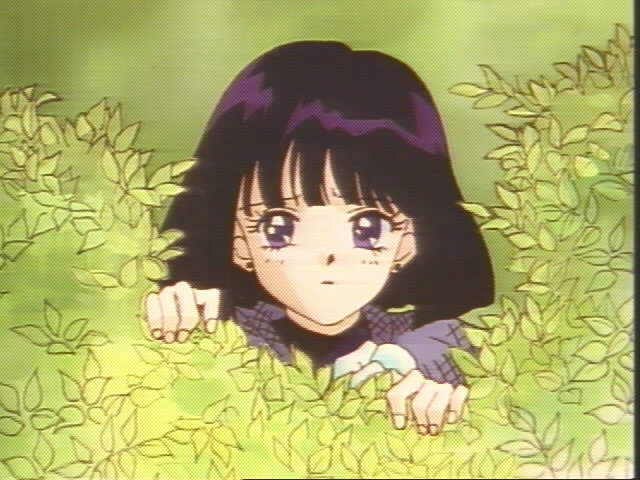   Hotaru          