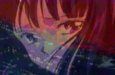   Hotaru          