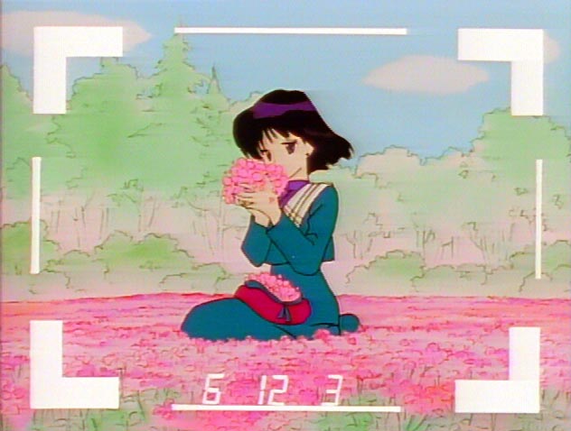   Hotaru          