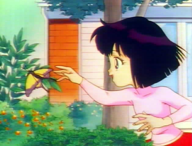   Hotaru          