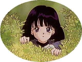   Hotaru          