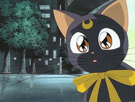   luna   