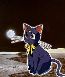   luna   