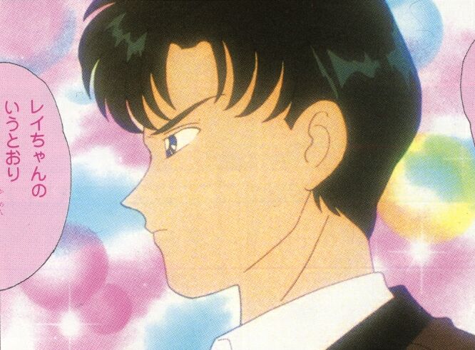   mamoru      inner iner iners