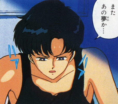   mamoru      inner iner iners
