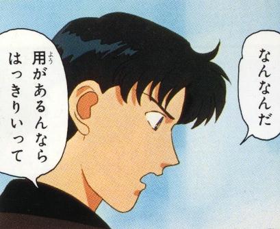   mamoru      inner iner iners