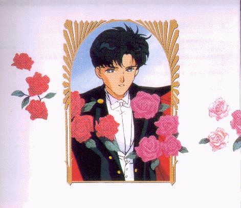   mamoru      inner iner iners