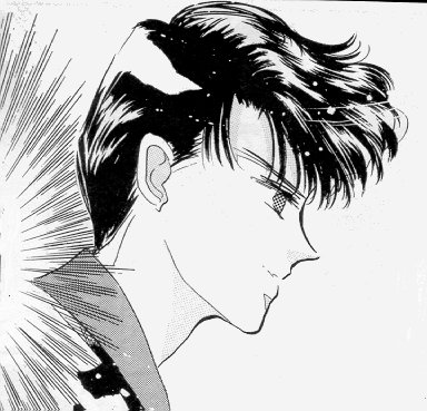   mamoru      inner iner iners
