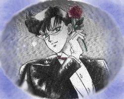   mamoru      inner iner iners