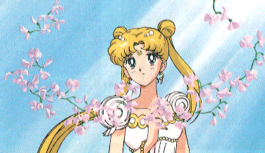   sailor moon sailormoon usagi usa SuperSailormoon                inner iner iners     