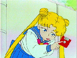   sailor moon sailormoon usagi usa SuperSailormoon                inner iner iners     