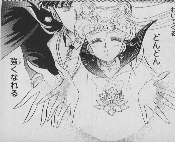   sailor moon sailormoon usagi usa SuperSailormoon                inner iner iners     