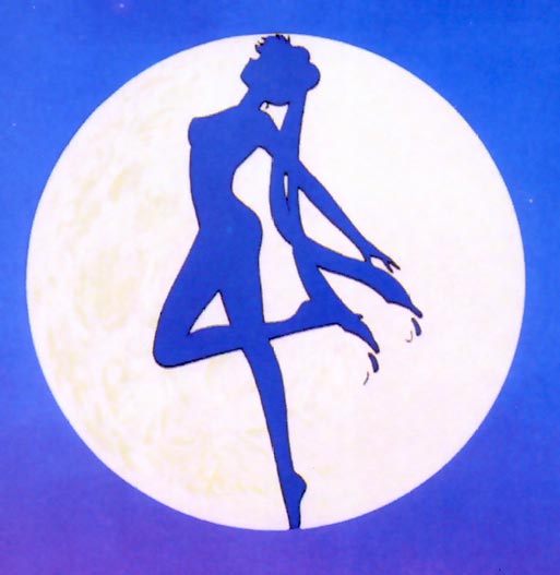  sailor moon sailormoon usagi usa SuperSailormoon                inner iner iners     
