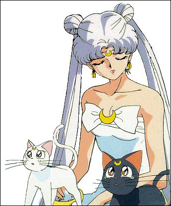  sailor moon sailormoon usagi usa SuperSailormoon                inner iner iners     