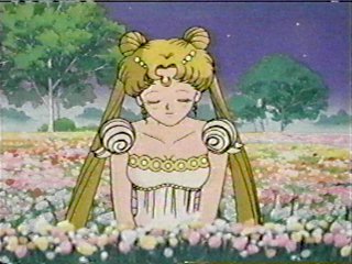   sailor moon sailormoon usagi usa SuperSailormoon                inner iner iners     