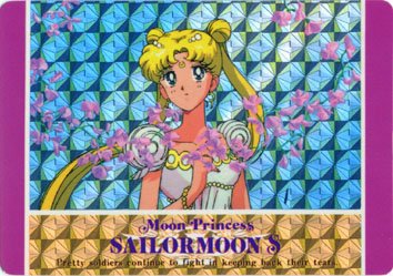   sailor moon sailormoon usagi usa SuperSailormoon                inner iner iners     