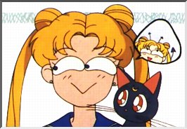   sailor moon sailormoon usagi usa SuperSailormoon                inner iner iners     