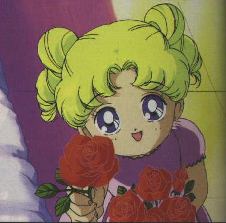   sailor moon sailormoon usagi usa SuperSailormoon                inner iner iners     